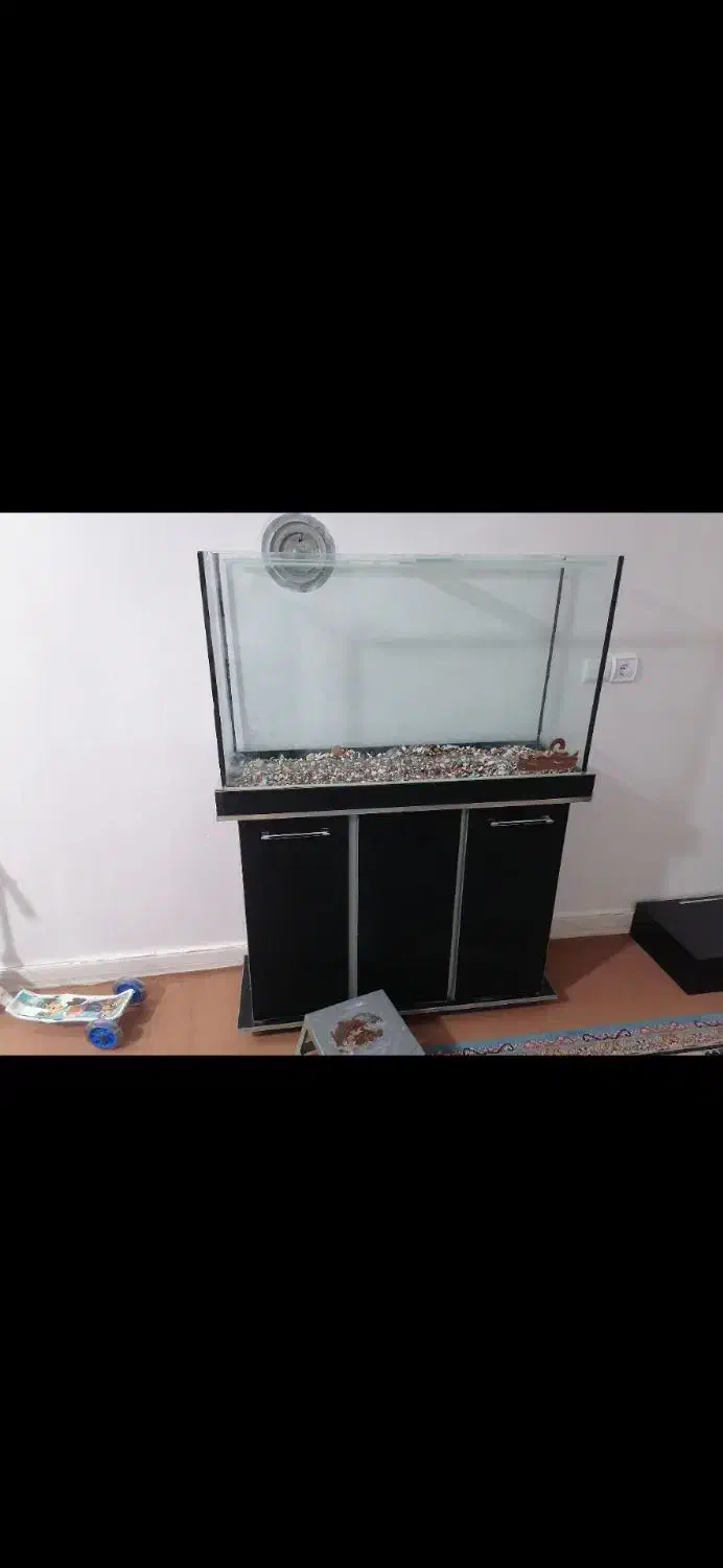 اکو اریوم|ماهی|پاکدشت, پاکدشت (مامازند)|دیوار