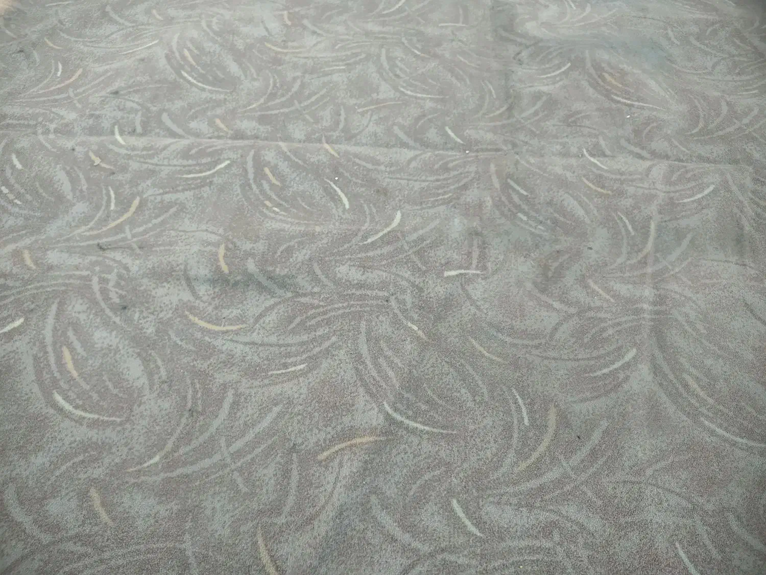 موکت|موکت|لواسان, |دیوار