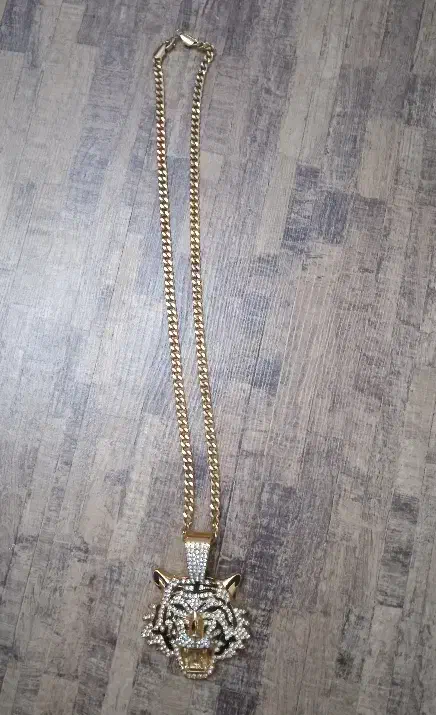 گردنبند رنگ ثابت ببر|بدلیجات|کرج, فاز ۳ گوهردشت|دیوار