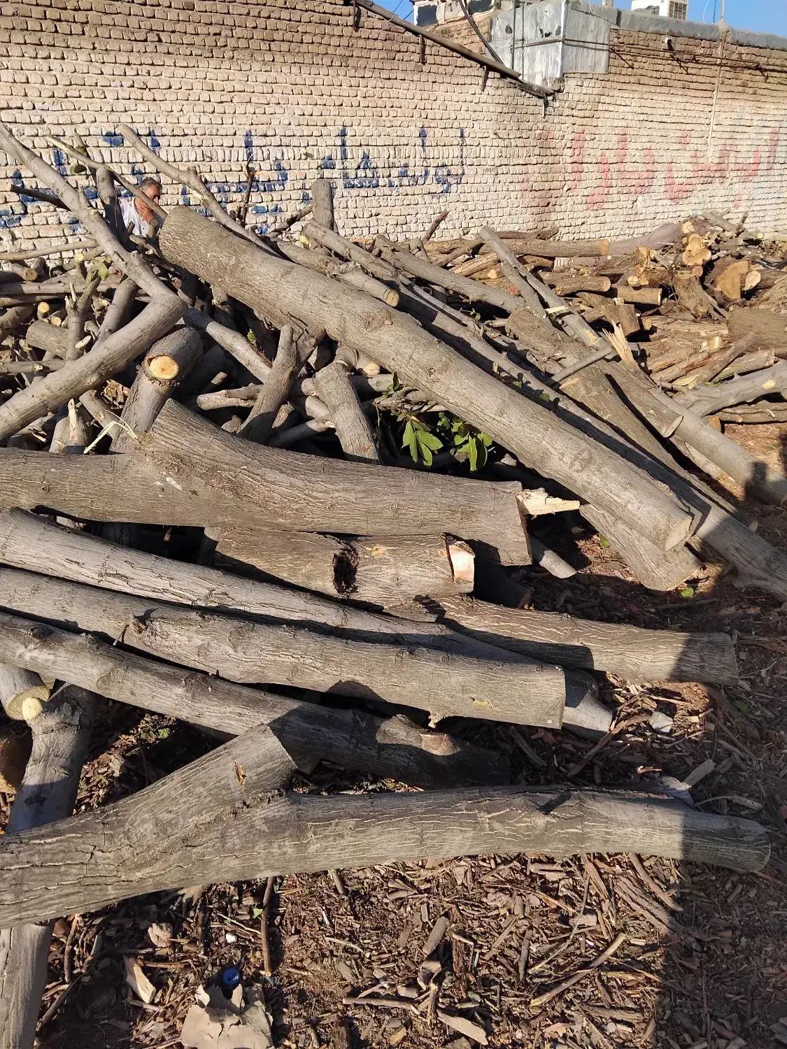 چوب|خدمات باغبانی و درختکاری|الشتر, |دیوار