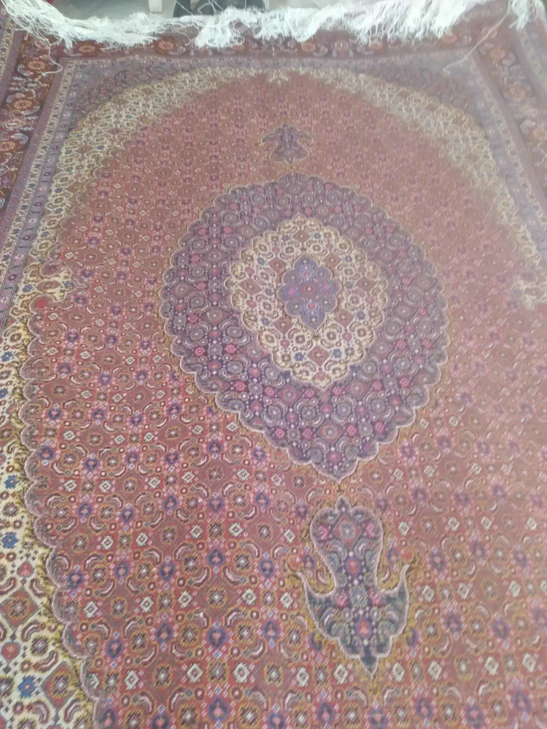 فرش دستباف ماهی  تازه از دار افتاده|فرش|اردبیل, |دیوار