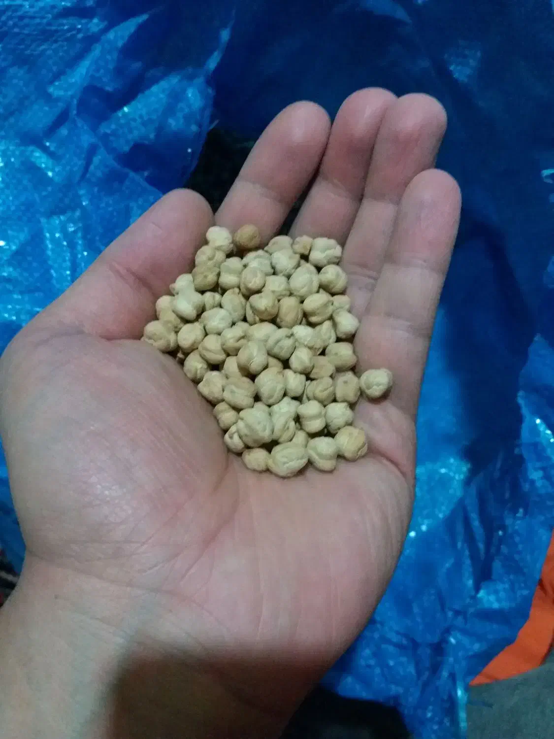 حراج۱۸۰|حراج|نورآباد, |دیوار