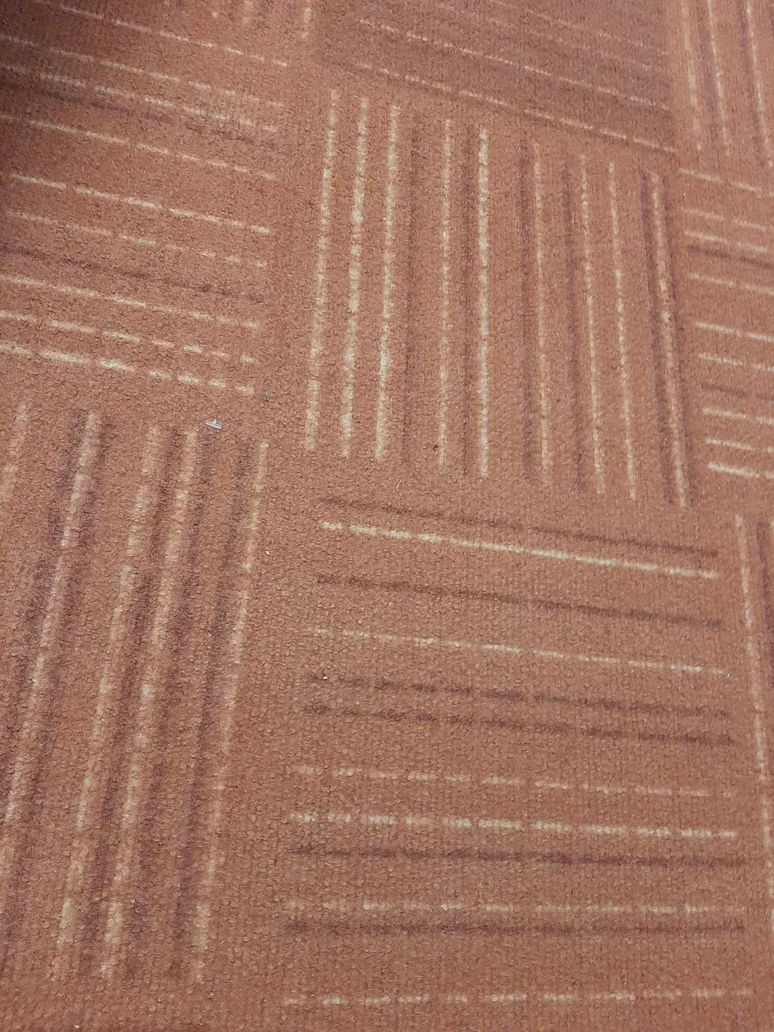 موکت آجری رنگ درحدنو دوتیکه|موکت|اردبیل, |دیوار