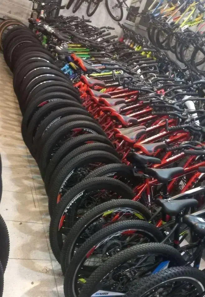 دوچرخه مقاوم/ویوا*|دوچرخه، اسکیت، اسکوتر|یزد, |دیوار