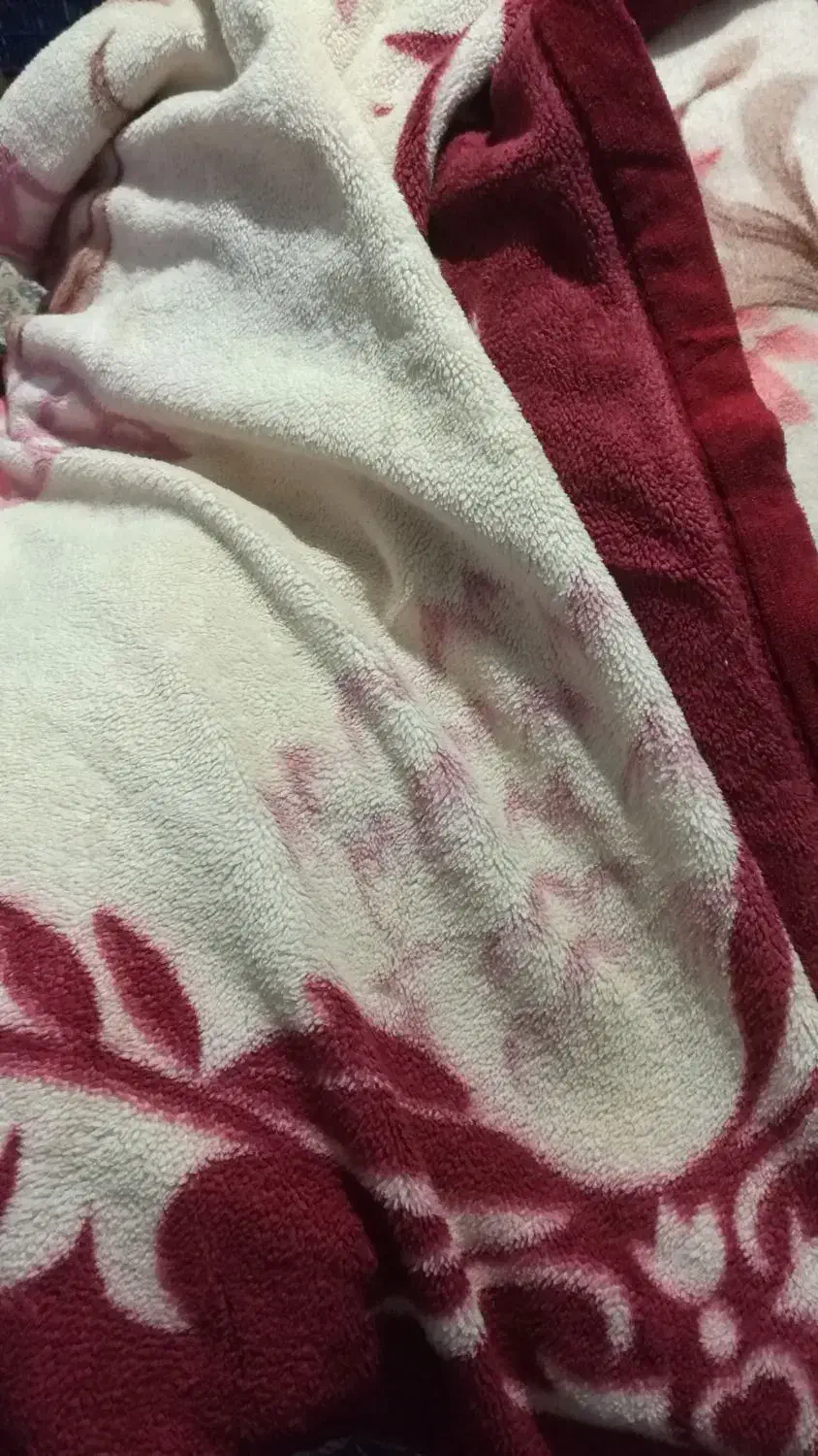 دشک پتو|رختخواب، بالش، پتو|قائم‌شهر, |دیوار