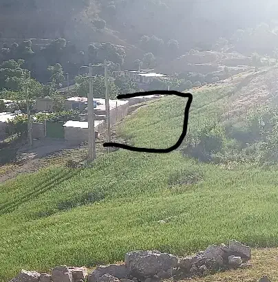 فروش فوری یک قطعه زمین  در دیشموک|فروش زمین و ملک کلنگی|دیشموک, |دیوار