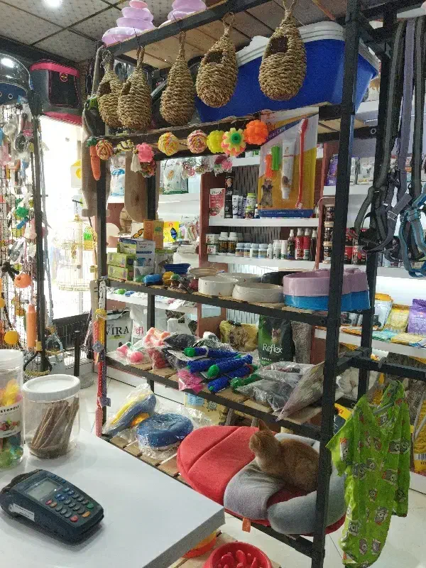 فروش کلی لوازم پت شاپ با دلار صدتومن.فقط کلی|لوازم جانبی حیوانات|چهاردانگه (تهران), |دیوار