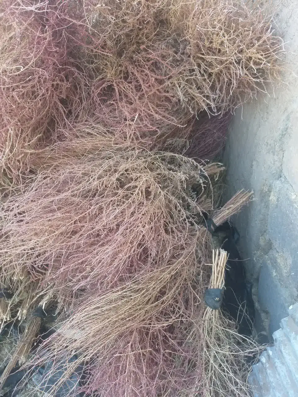 جارو...|لوازم نظافت|بلبان آباد, |دیوار