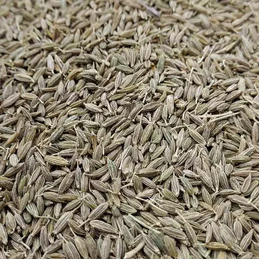 زیره سبز مستقیم از سبزوار|خوردنی و آشامیدنی|شیراز, شاهچراغ|دیوار