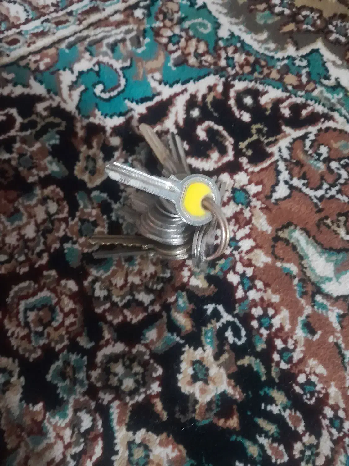 کمشده|اشیا|جیرفت, |دیوار