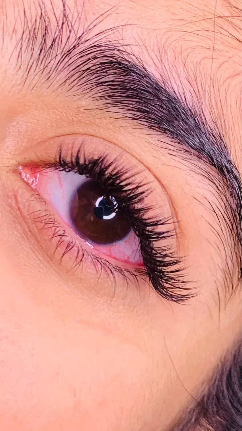 خدمات اکستنشن و لیفت فقط و فقط ۴۵۰|خدمات آرایشگری و زیبایی|زابل, |دیوار