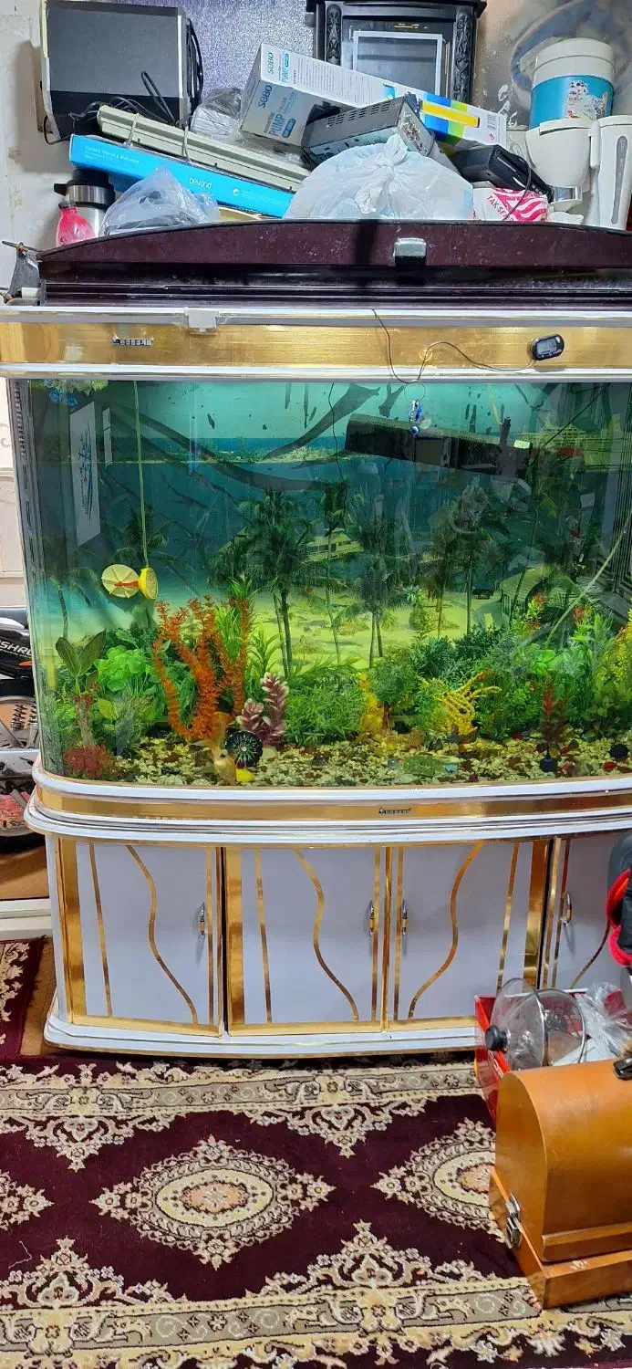 اگواریوم بالوازم برقی گل گلدون|ماهی|مشهد, ابوذر|دیوار