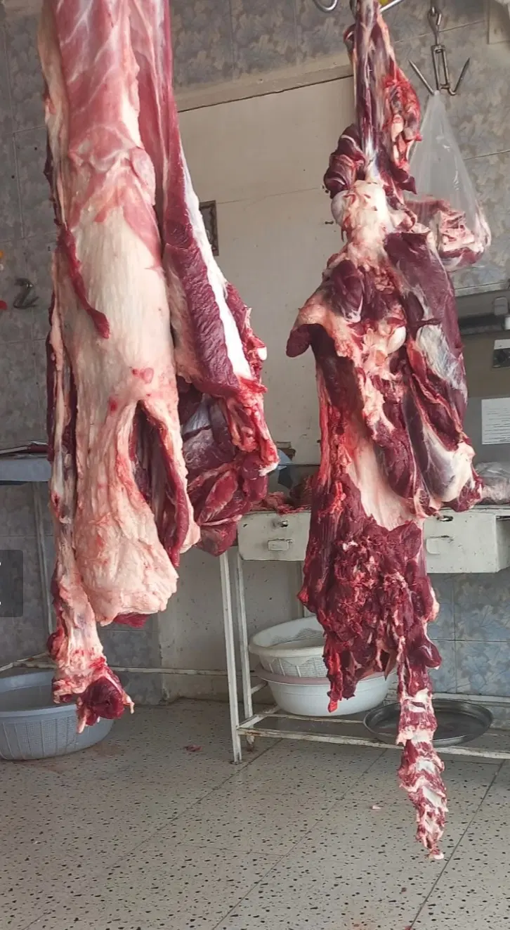 پخش گوشت تازه/گوشت گوساله بدون استخوان|خوردنی و آشامیدنی|تهران, بریانک|دیوار