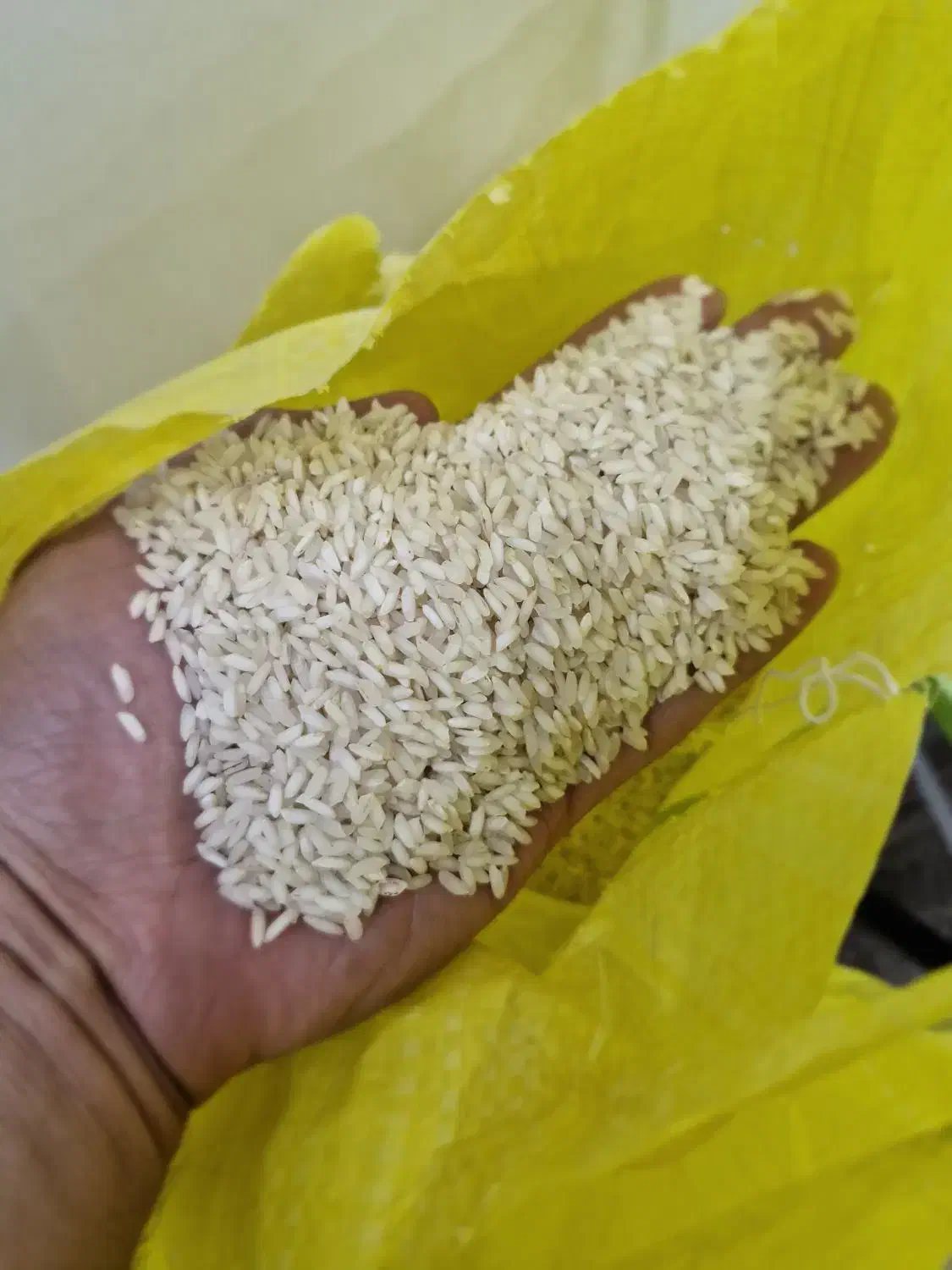 برنج عنبربو درجه یک|خوردنی و آشامیدنی|اهواز, کمپلو شمالی|دیوار