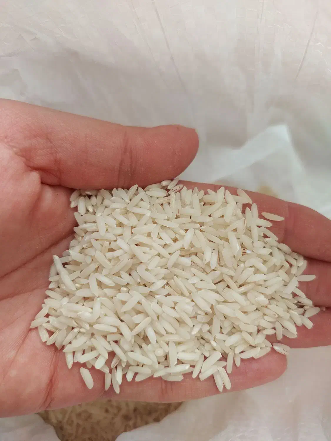 برنج طارم هاشمی گیلان اصل مستقیم از کشاورز|خوردنی و آشامیدنی|ورامین, ورامین|دیوار