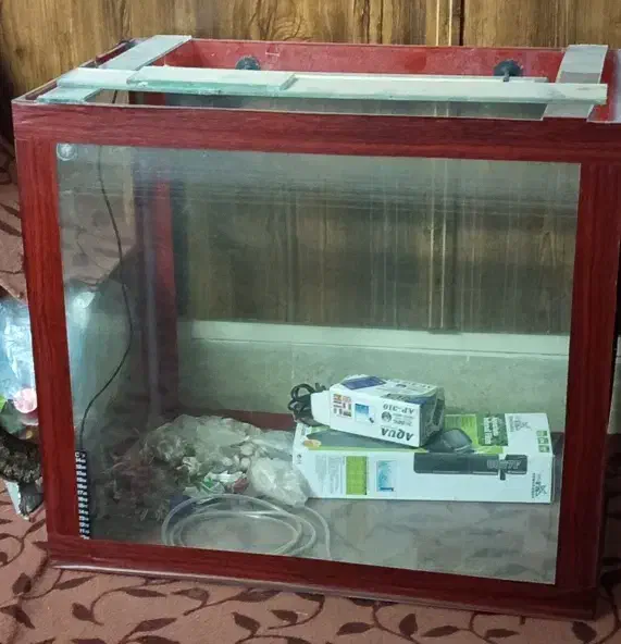 آکواریم سالم بزرگ|ماهی|یزد, |دیوار