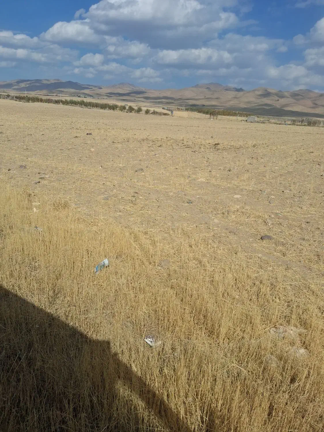 زمین کشاورزی مناسب برای ایجاد باغ|فروش دفتر صنعتی، کشاورزی، تجاری|قره پشتلو, |دیوار