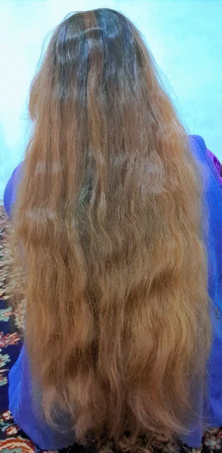 موی بلند|آرایشگاه و سالن‌های زیبایی|باوله, |دیوار