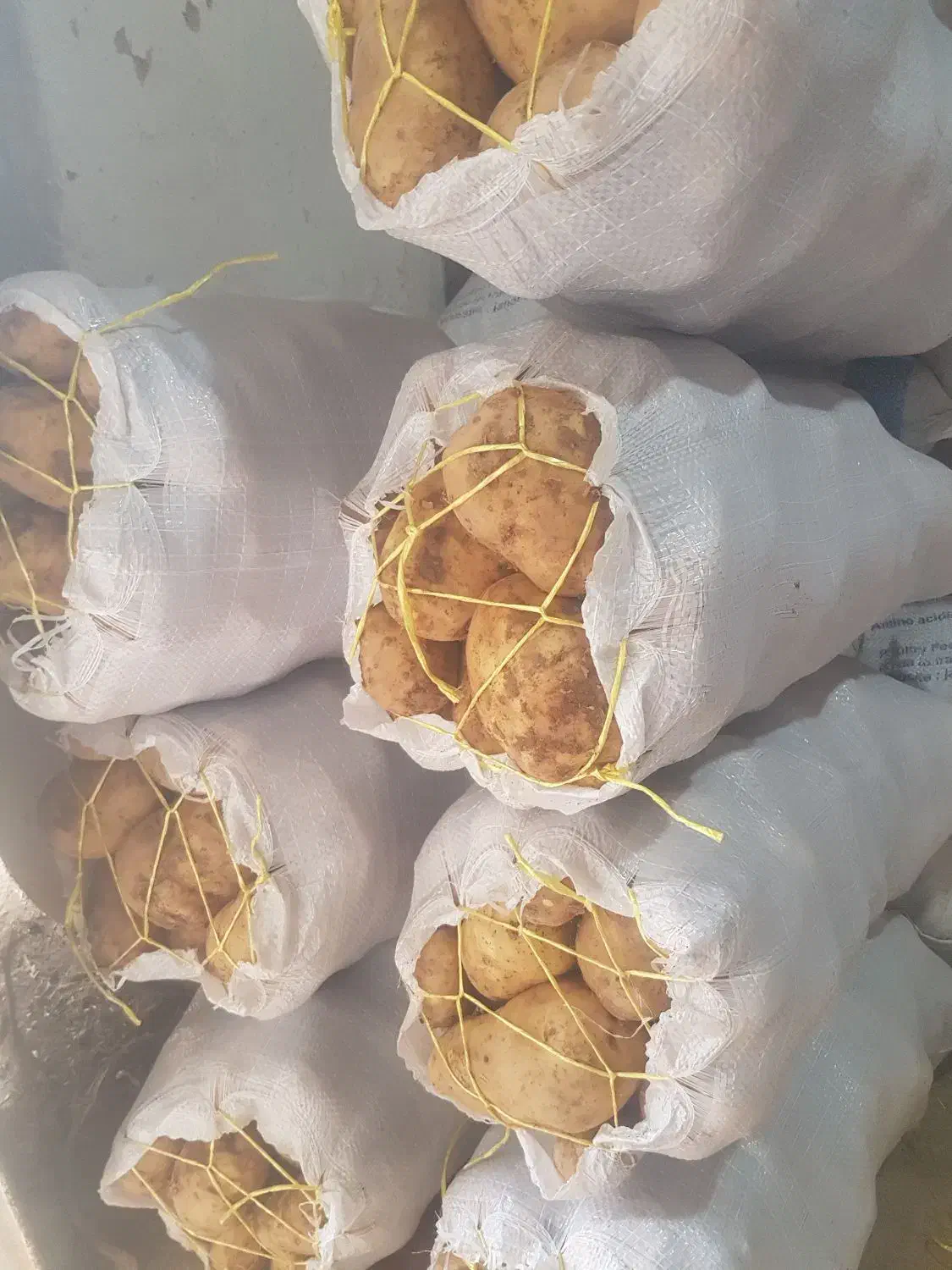 خوراکی ارگانیک زد|حراج|دوتپه, |دیوار