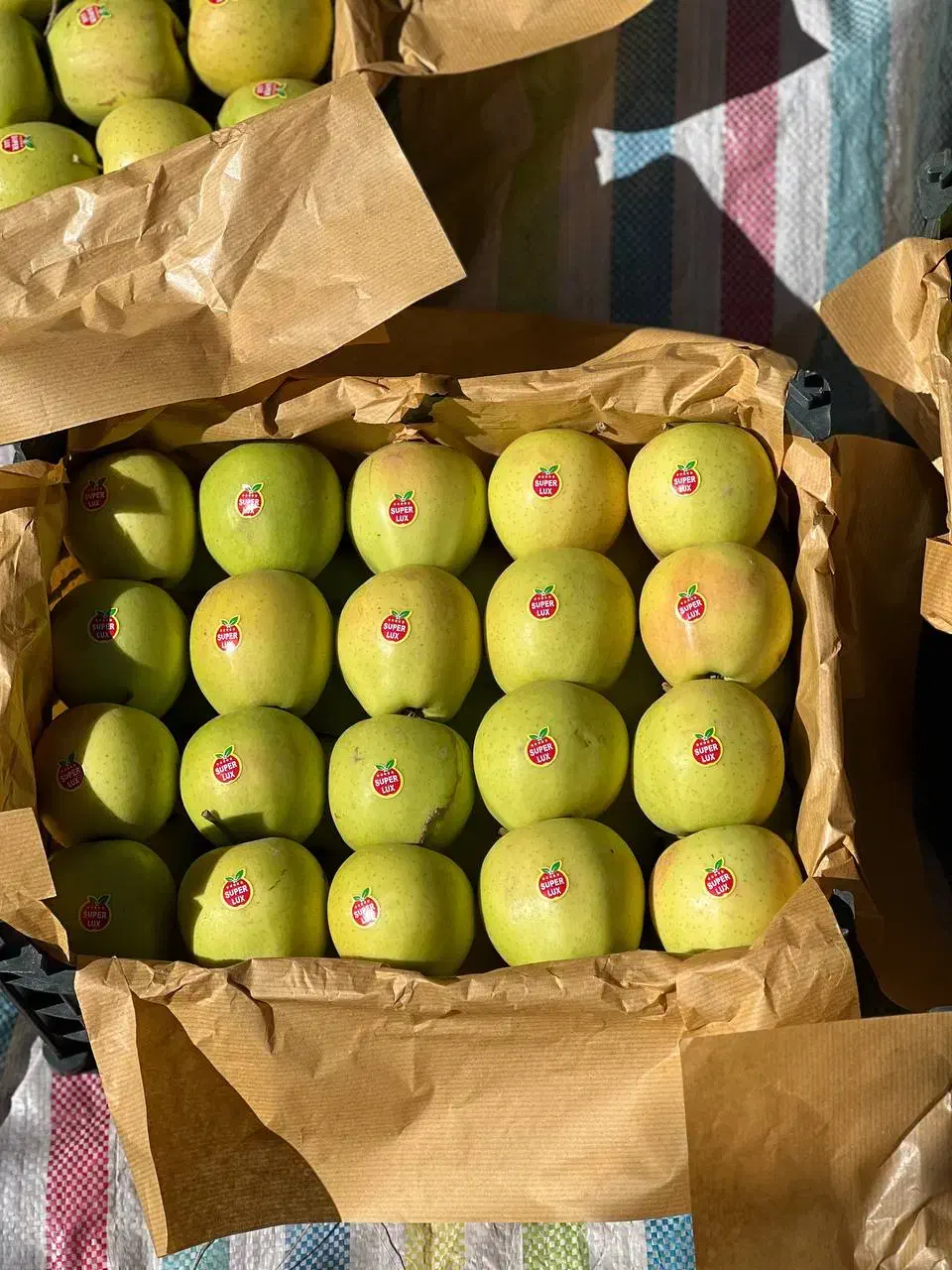 سیب لوکس ترگور|خوردنی و آشامیدنی|صومای برادوست, |دیوار