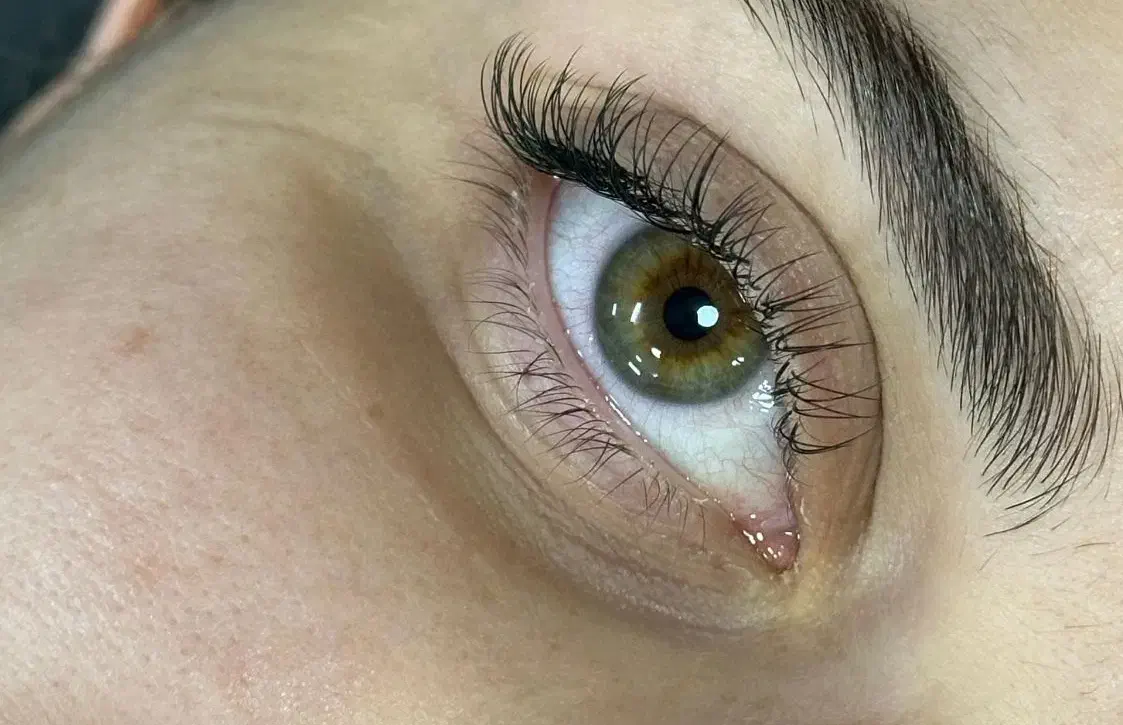 اکستنشن مژه و لیفت|خدمات آرایشگری و زیبایی|شیراز, سعدیه شمالی|دیوار