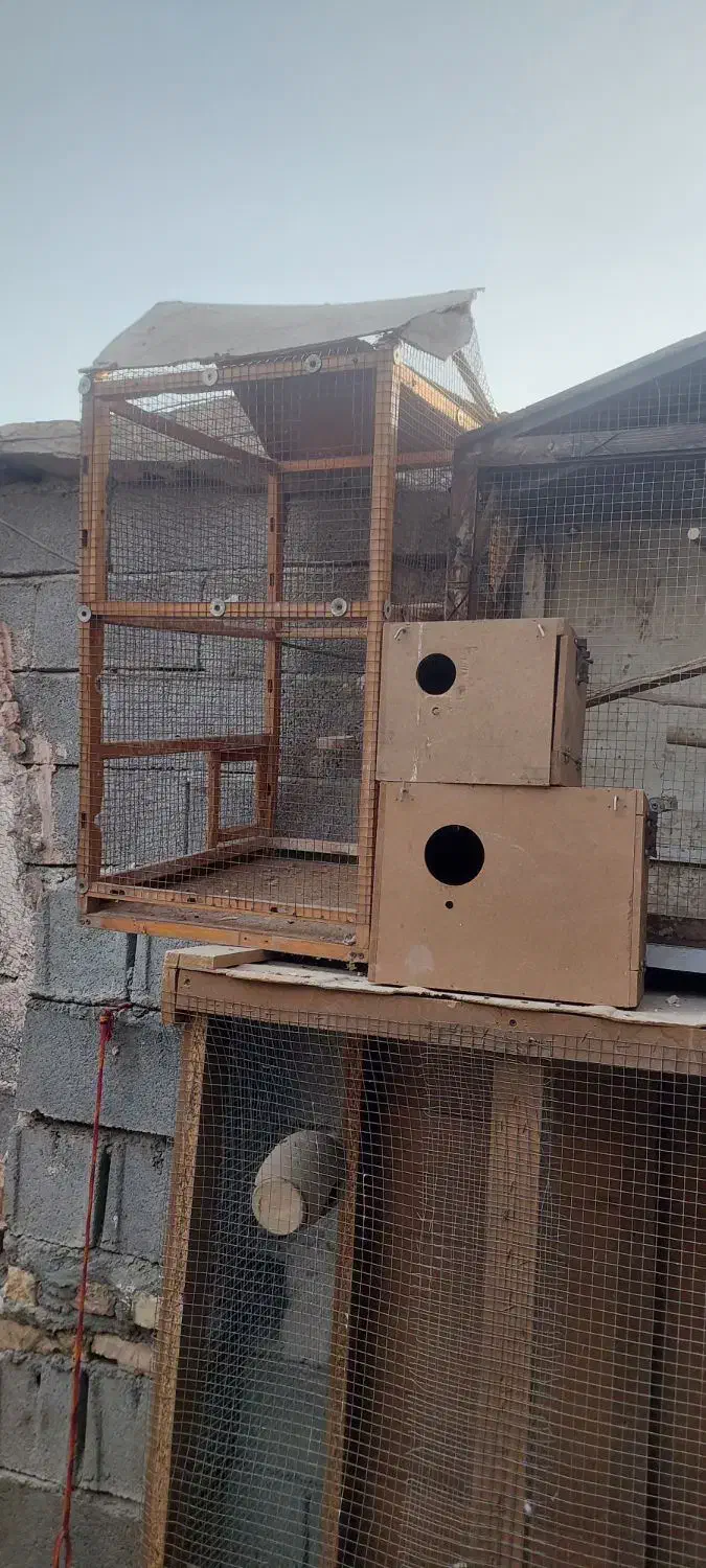 قفس و لانه پرنده|لوازم جانبی حیوانات|ایرانشهر, |دیوار