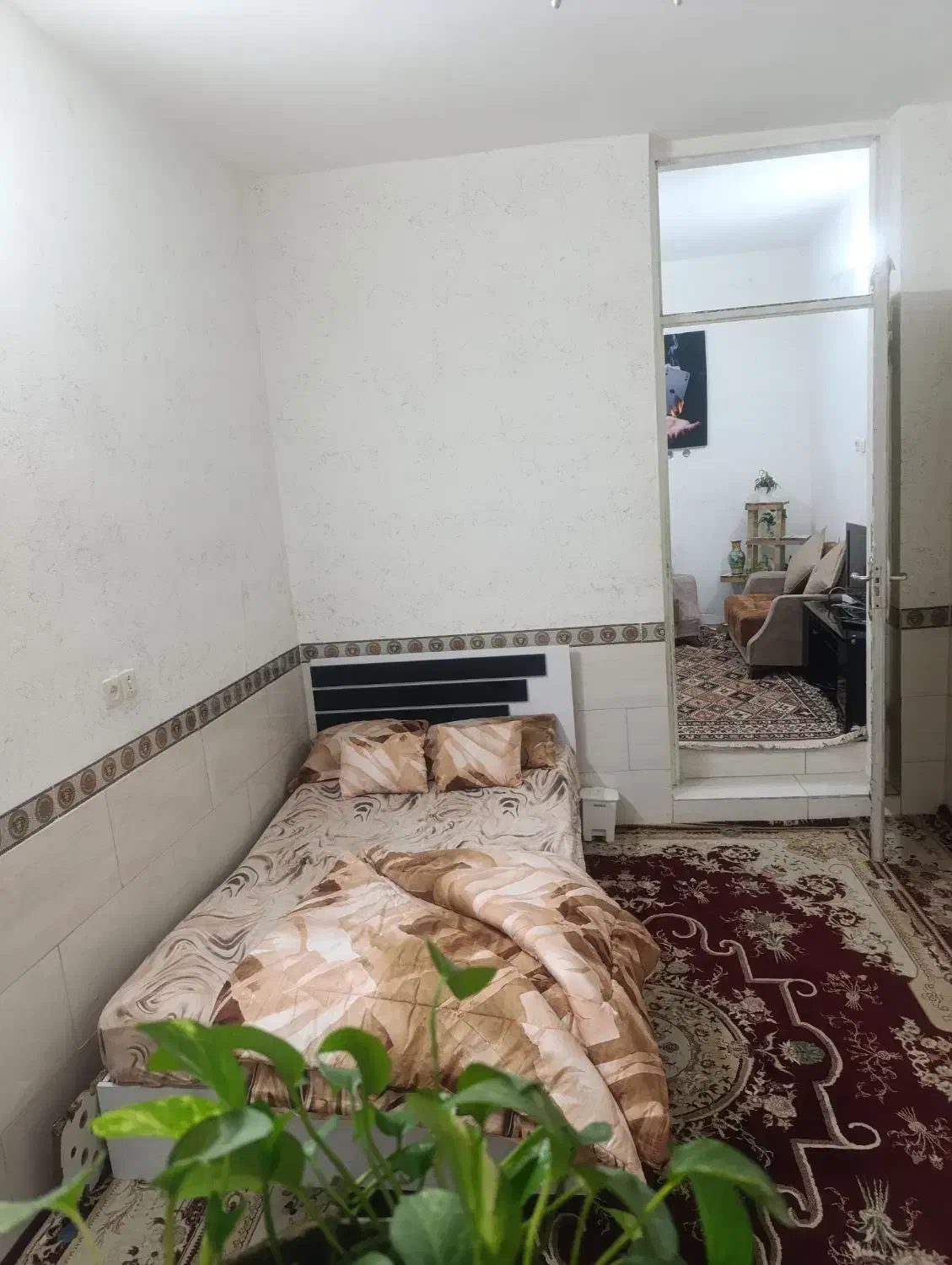 منزل مبله روزانه تمیز|اجارهٔ کوتاهمدت آپارتمان و سوئیت|شیراز, درکی|دیوار