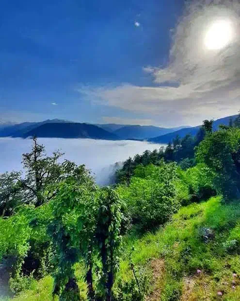 پیاده روی...|تور و چارتر|نیشابور, مازول|دیوار