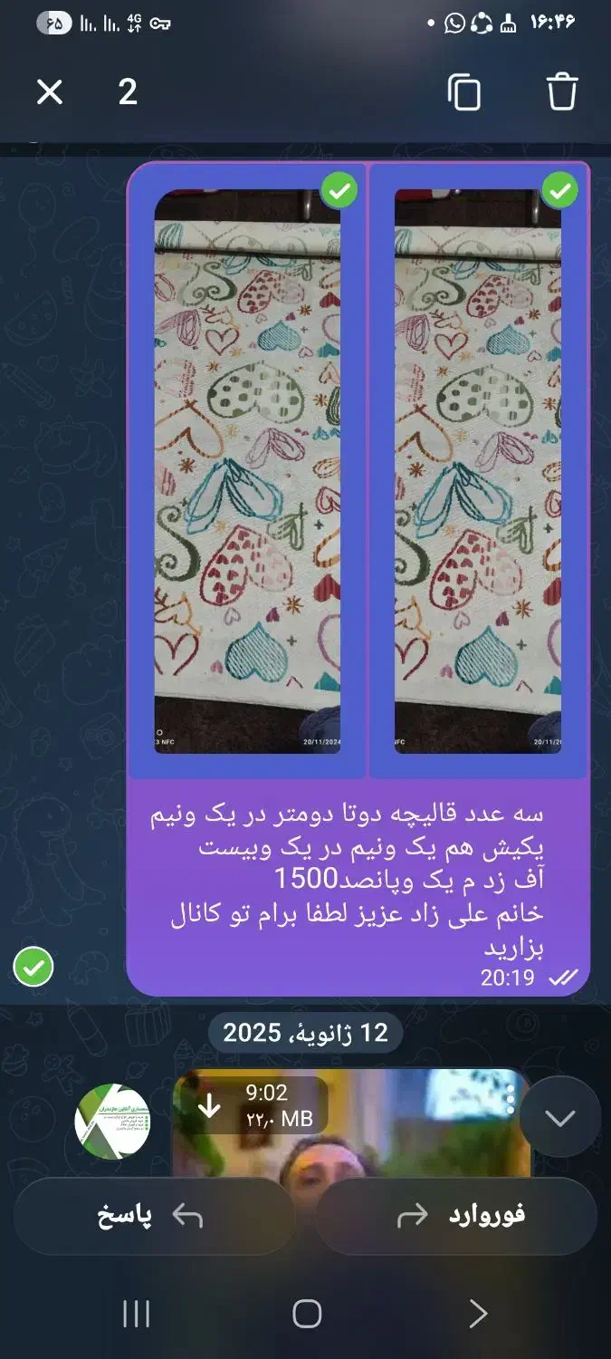 قالیچه|فرش|ساری, |دیوار