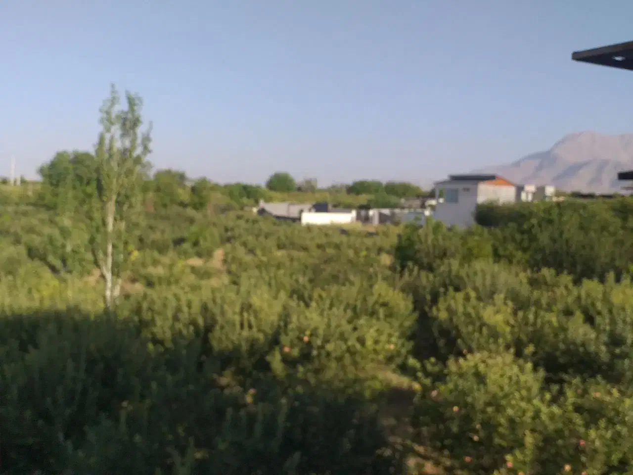 ۵۰۰متر جابان .ویژه.سند تک برگ . آب ، برق وگاز شهری|فروش خانه و ویلا|دماوند, دماوند|دیوار