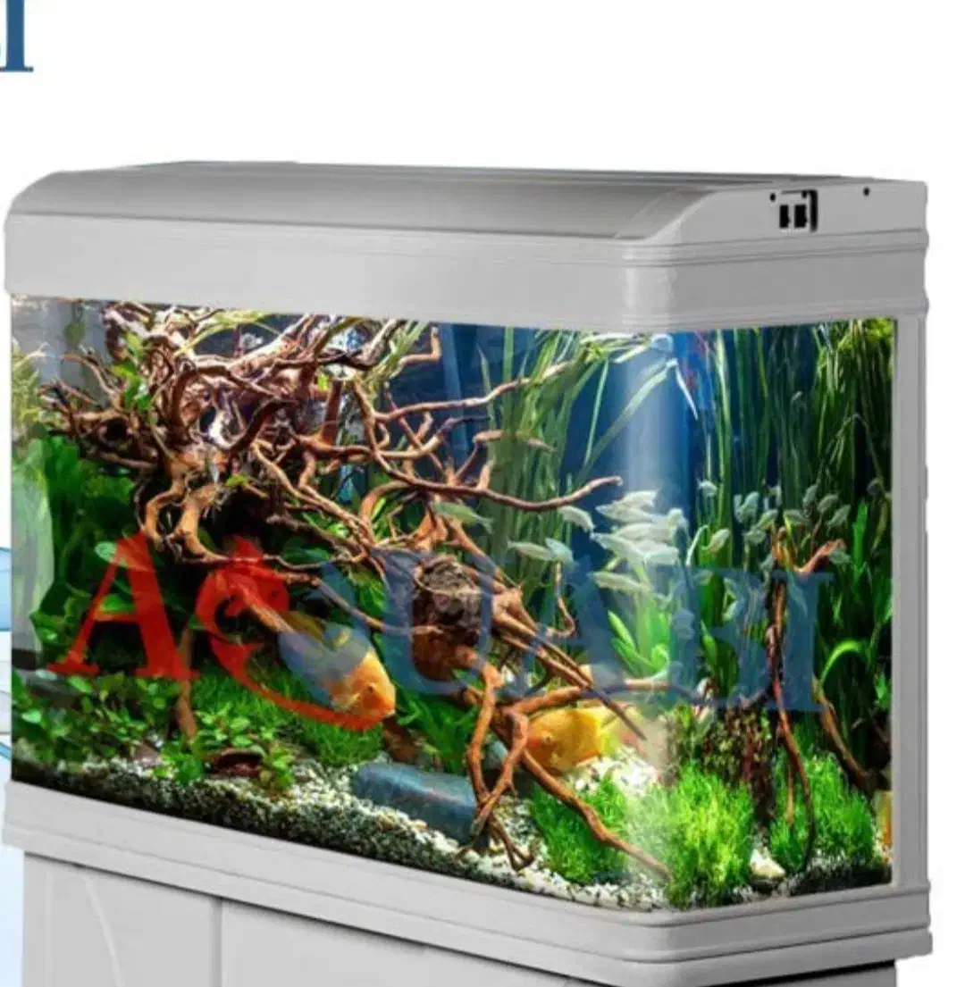 آکواریوم دلسا k800|ماهی|شیراز, رکنآباد|دیوار