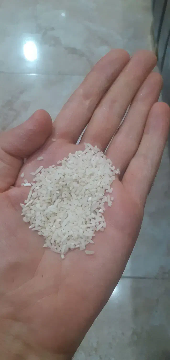 برنج اصیل شمال محسن سرلاشه هاشمی ممتاز +عمده|عمده‌فروشی|تهران, امیریه|دیوار