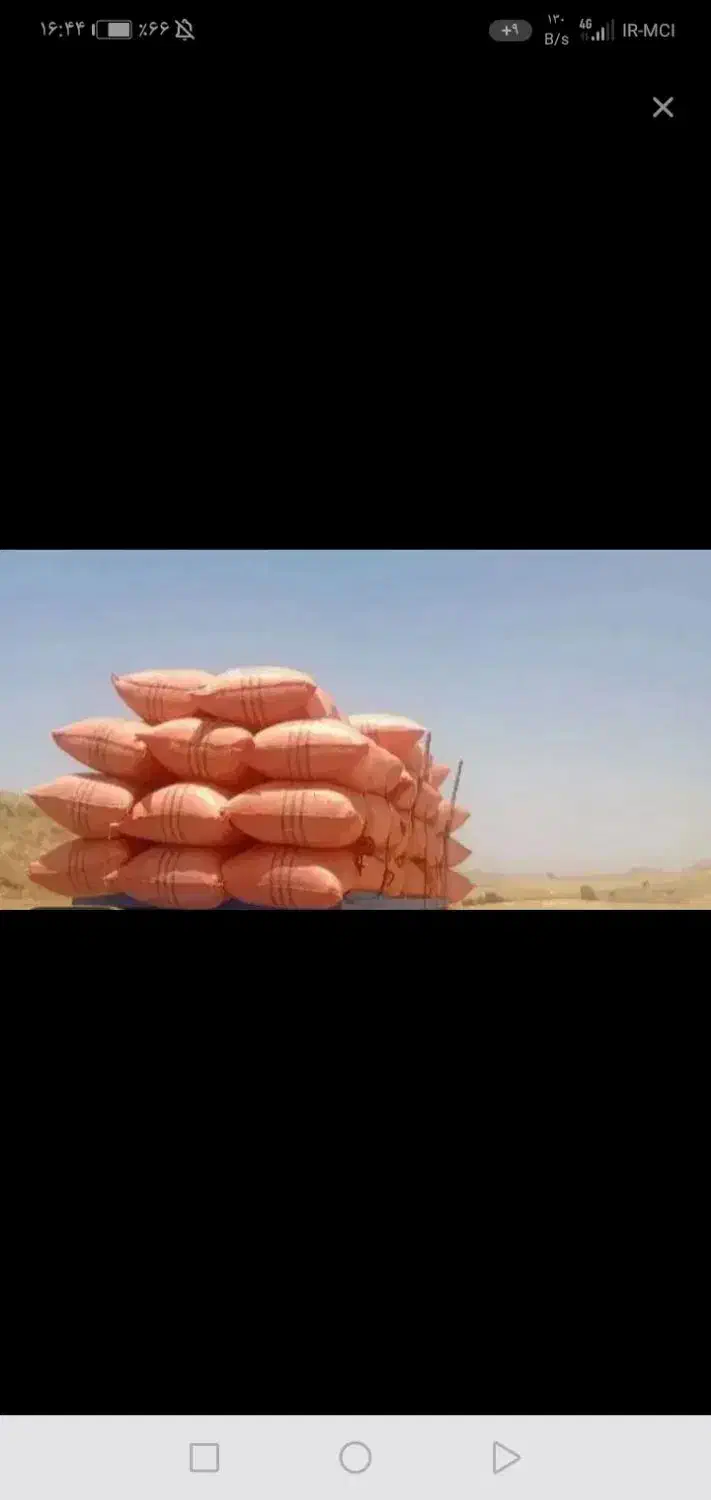 کاه گندم دیم|لوازم جانبی حیوانات|نوبران, |دیوار