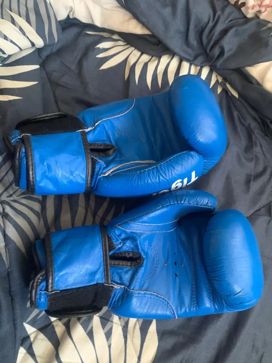 دستکش تایگر گرین هیل|تجهیزات ورزشی|قزوین, |دیوار