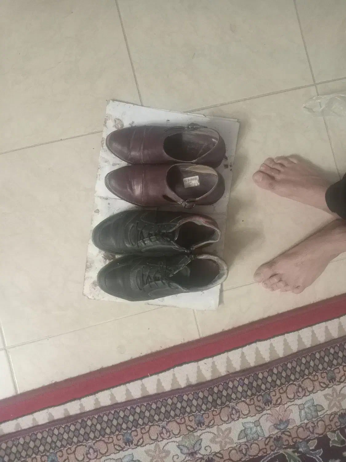 کفش زنانه|کیف، کفش، کمربند|کرمان, |دیوار