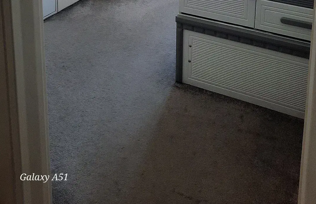 موکت پالاز|موکت|رودهن, |دیوار