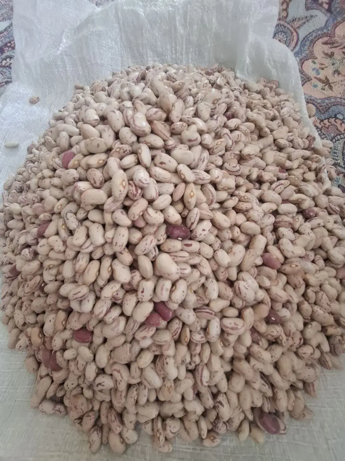 لوبیا چیتی|خوردنی و آشامیدنی|عجب شیر, |دیوار