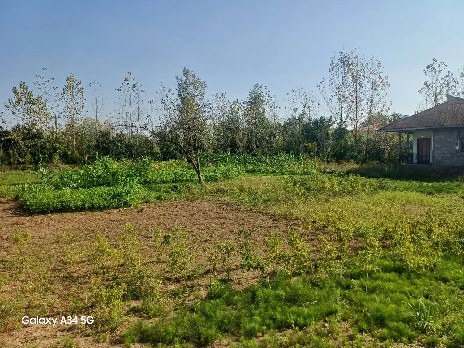 ویلا جنگلی|فروش خانه و ویلا|رشت, بازار|دیوار