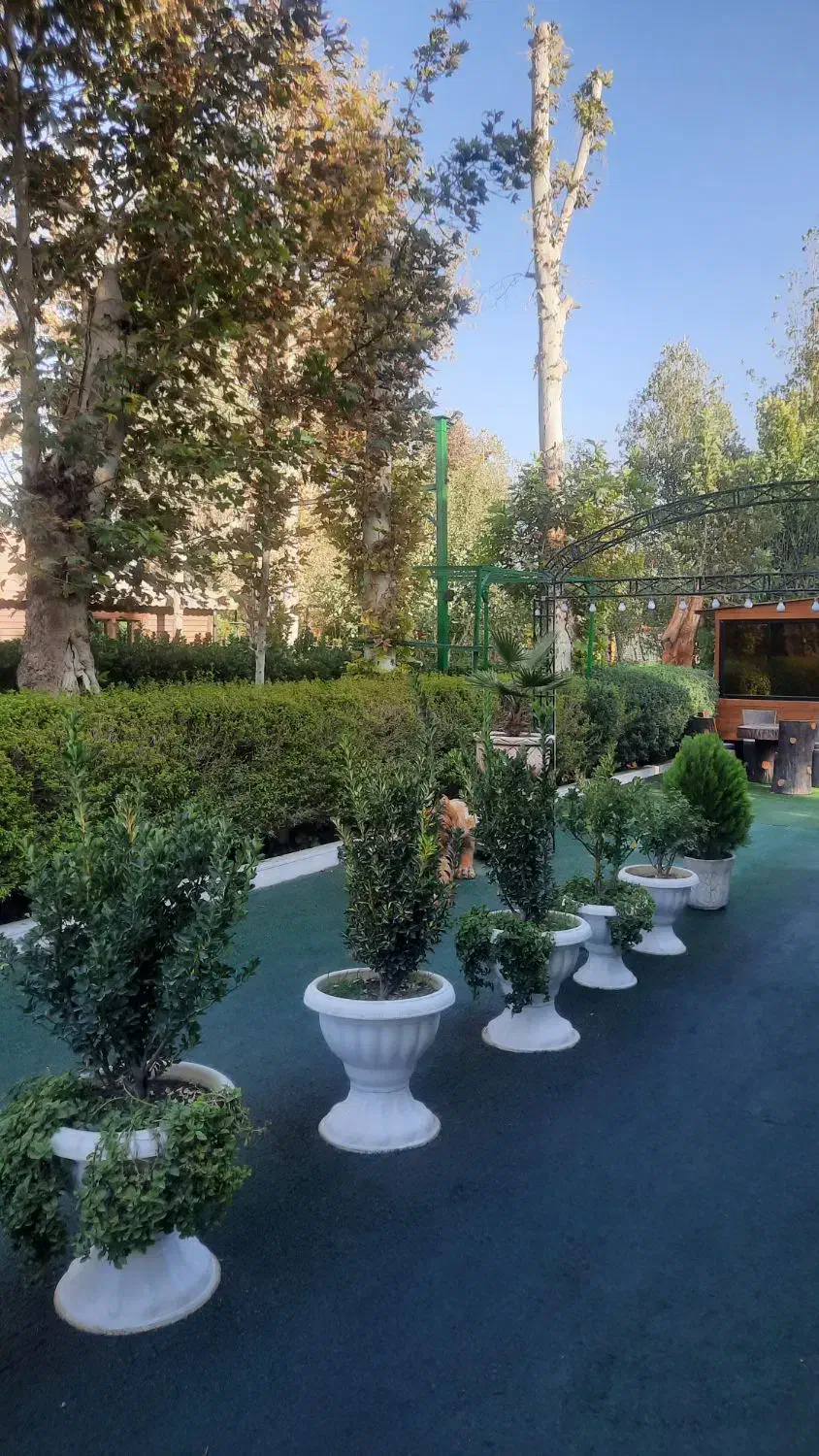 صندوقدار و آشپز ماهر|استخدام خدمات فروشگاه و رستوران|باغستان, |دیوار