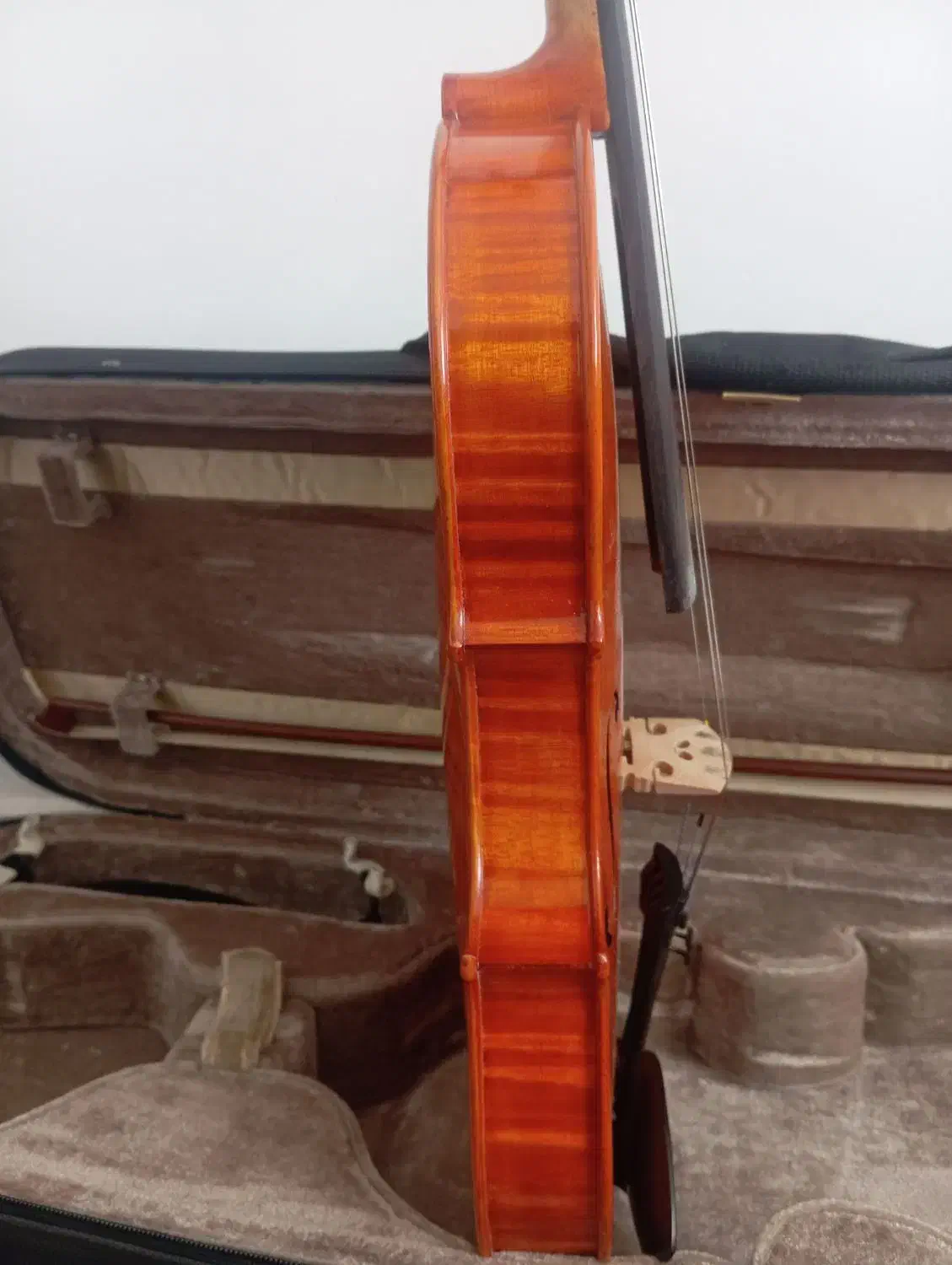 ویولن حرفه ای tf 800|ویولن|کرمانشاه, |دیوار