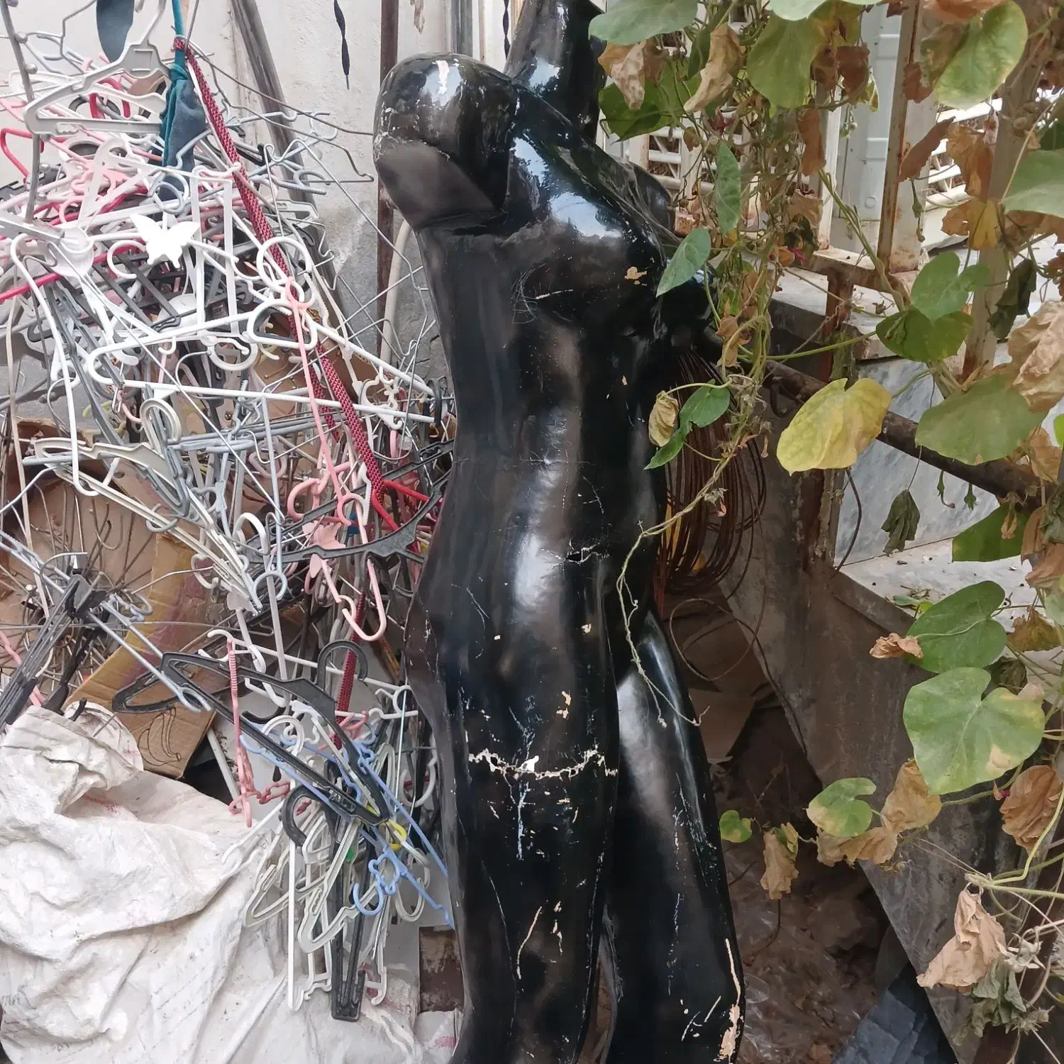 چوب لباس .آویز لباس.گردون. مانکن سبد حراجی|فروشگاه و مغازه|بجنورد, |دیوار