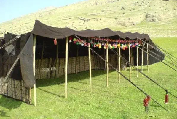 سیاه چادر دست بافت|گلیم، جاجیم، گبه|شیراز, هفت تنان|دیوار