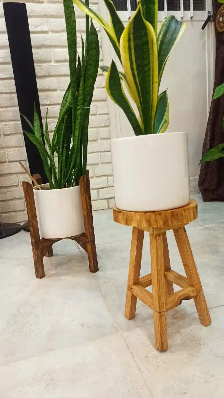 انواع پایه گلدان چوبی|گل و گیاه طبیعی|قم, شاه ابراهیم|دیوار