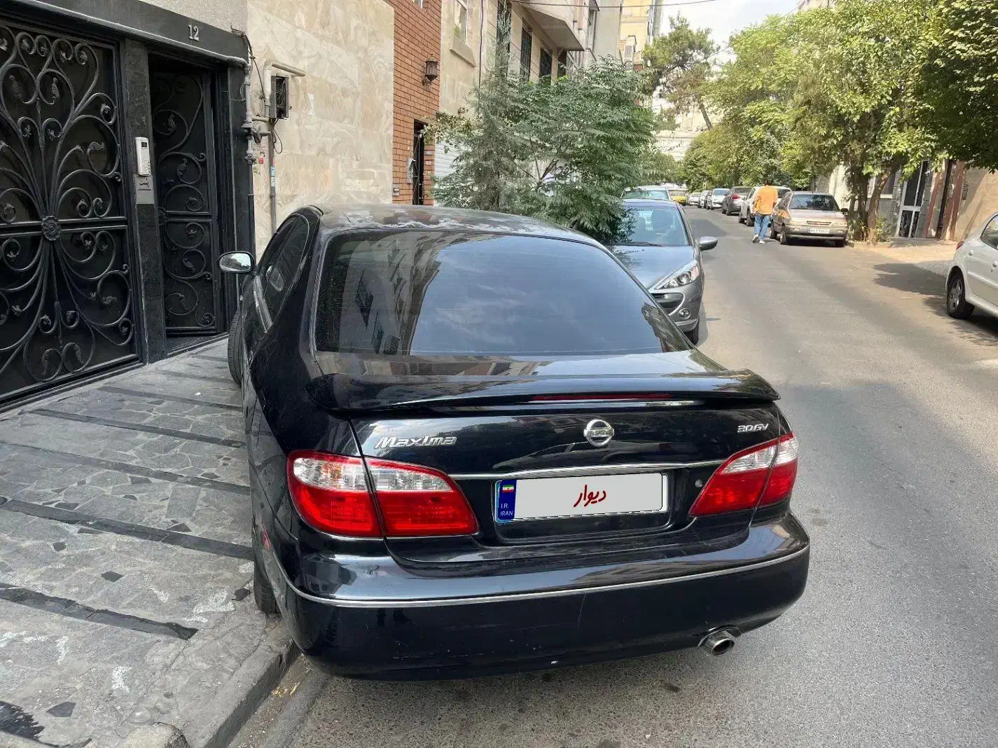 ماکسیما مدل ۸۴|خودرو سواری و وانت|تهران, عباس‌آباد|دیوار