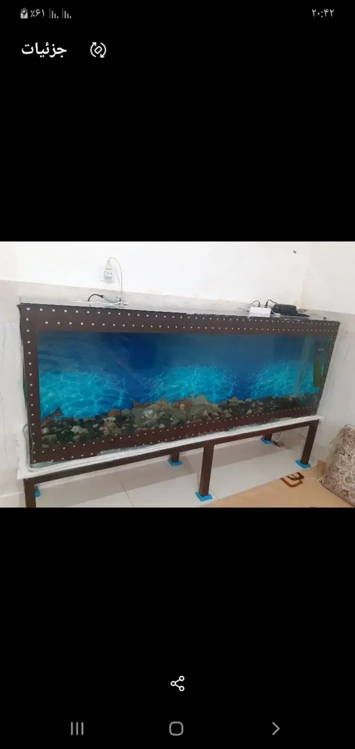 ماهی|ماهی|بجنورد, |دیوار