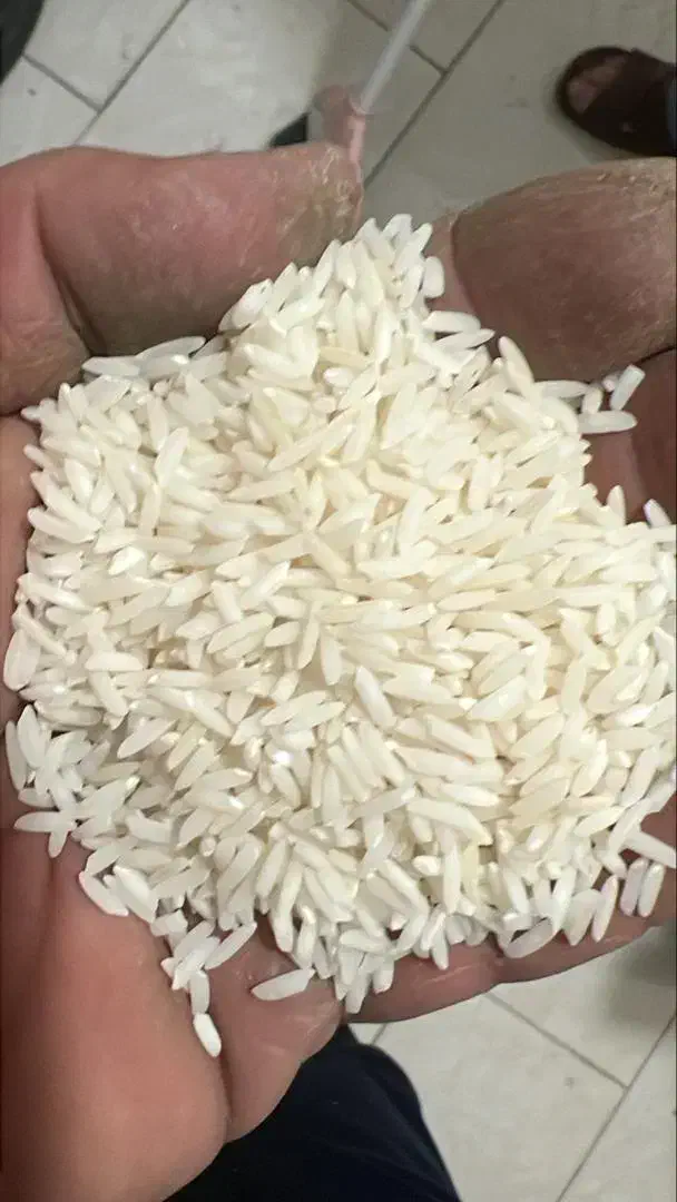 برنج طارم هاشمی|خوردنی و آشامیدنی|قائمشهر, |دیوار