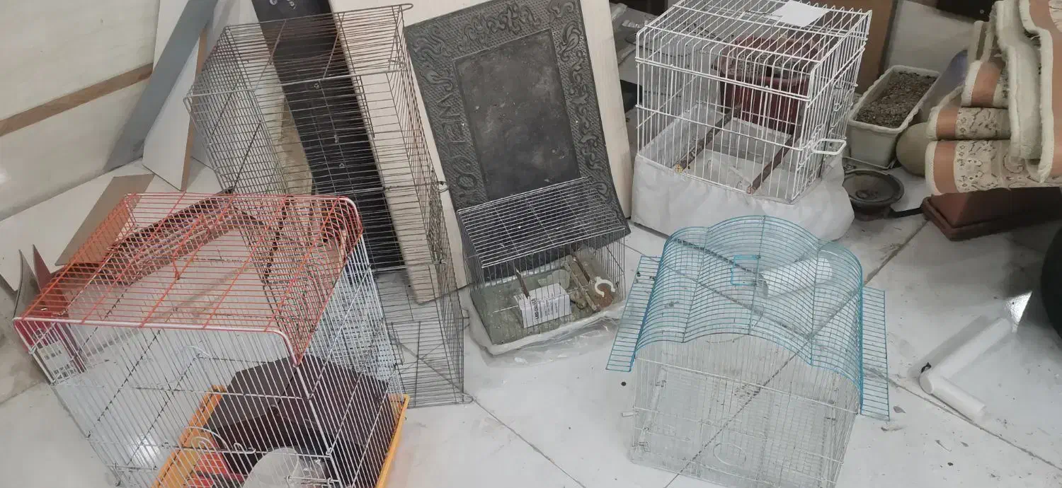 قفس|لوازم جانبی حیوانات|پرند, فاز ۶|دیوار