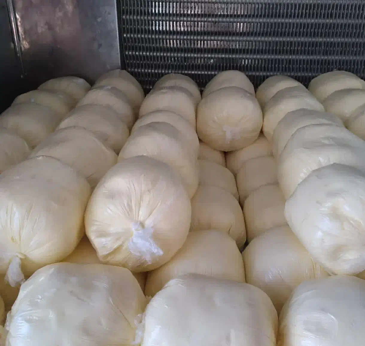 لبنیات فروش کره گاوی|عمدهفروشی|زنجان, |دیوار