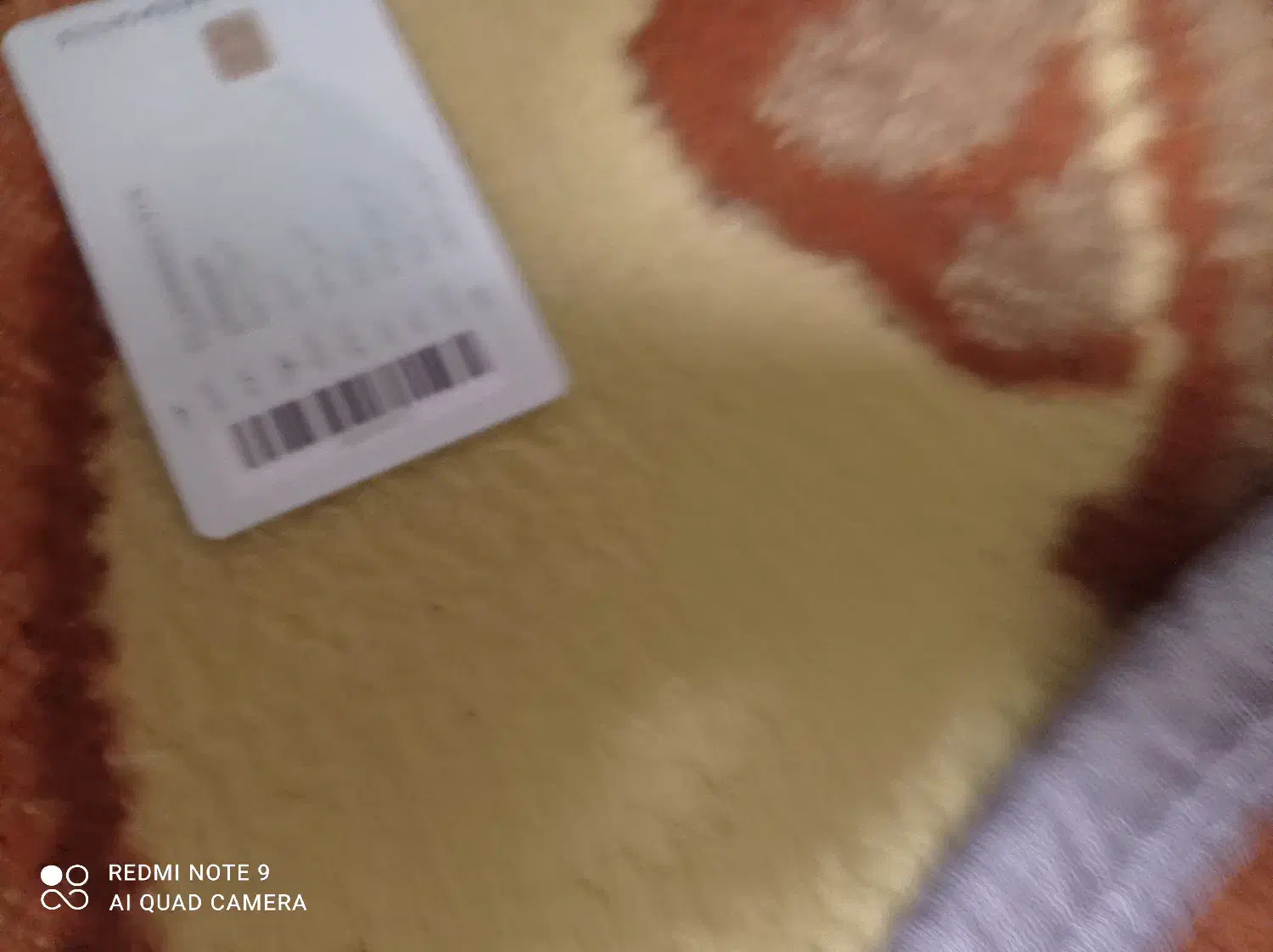 مدرک گم شده|اشیا|یزد, |دیوار