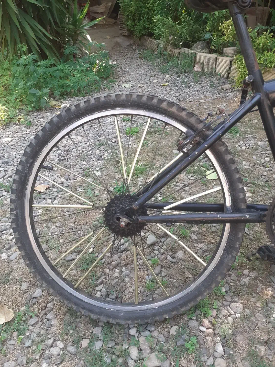 دوچرخه 24 نیاز ب تعمیر|دوچرخه، اسکیت، اسکوتر|رشت, حومه رشت|دیوار